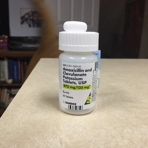 Amoxicillin Pot Clavulanate 875 125 Mg Oral Tablet