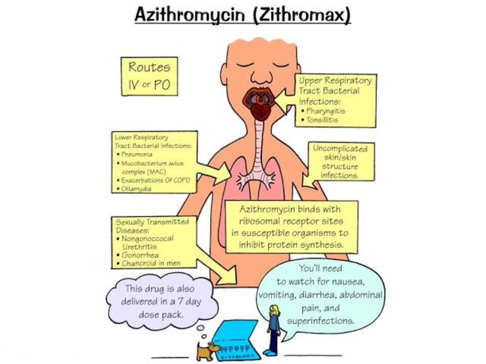 Azithromycin Uses, Dosage for Chlamydia, Cystitis, Syphilis ...