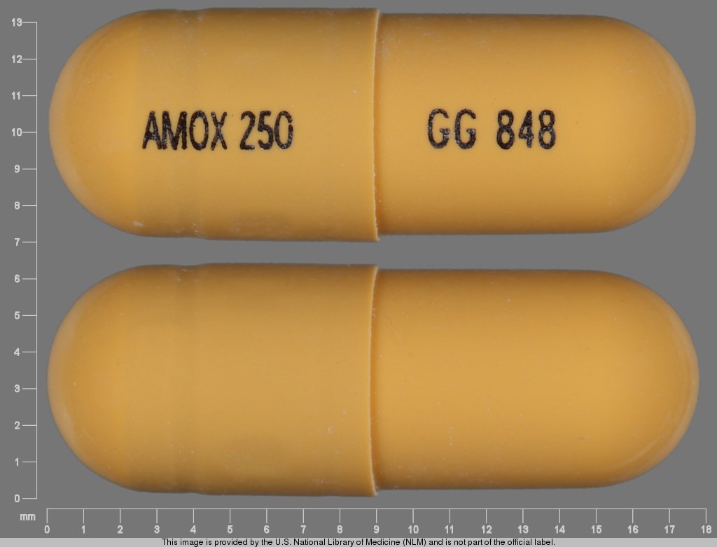capsule yellow amox 250 gg 848 Images