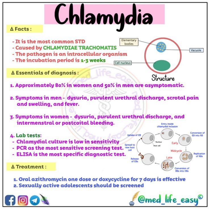 Chlamydia flash card