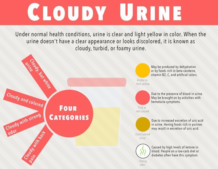 Cloudy Urine: Symptoms, Causes, Treatment, and Images