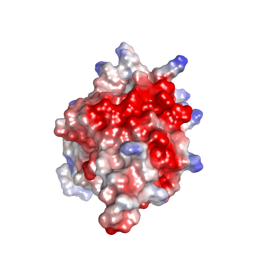 Crystal structure of Chlamydia trachomatis DsbA