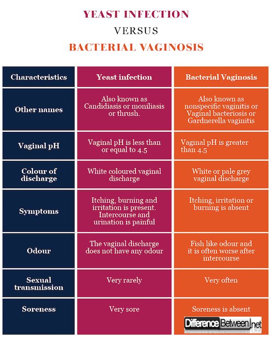 Difference Between Yeast Infection and Bacterial Vaginosis ...
