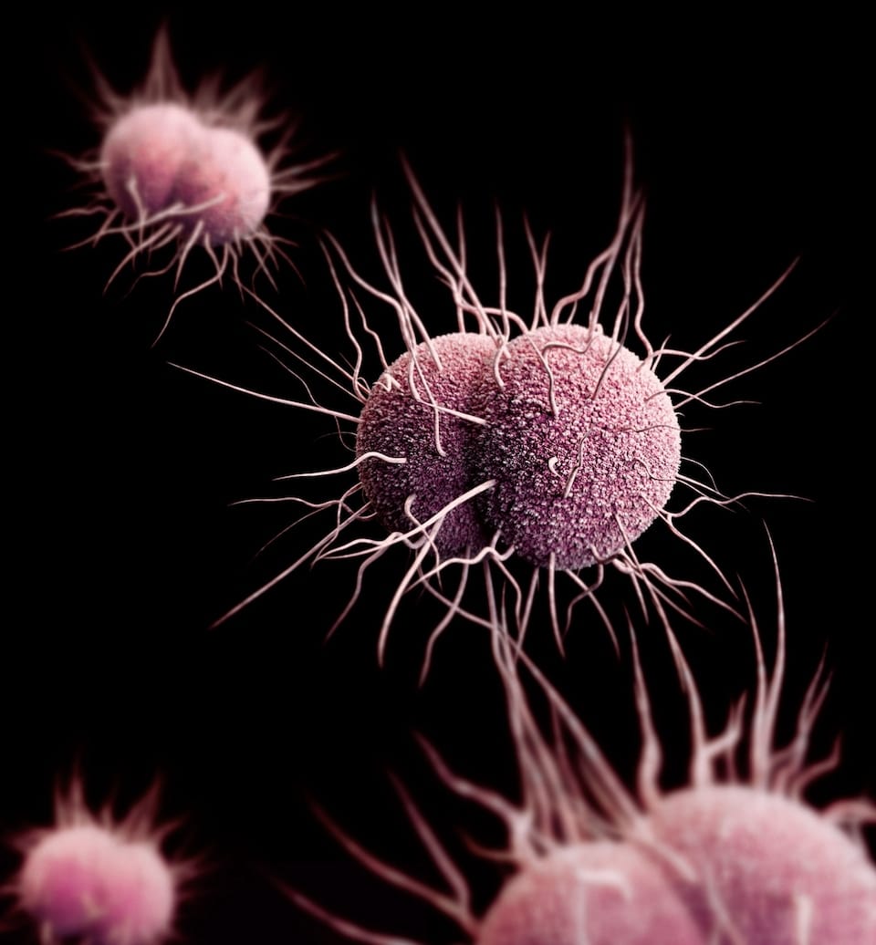 Gonorrhea is more dangerous than ever as resistance to antibiotics ...
