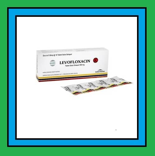 Levofloxacin HCL 500 mg