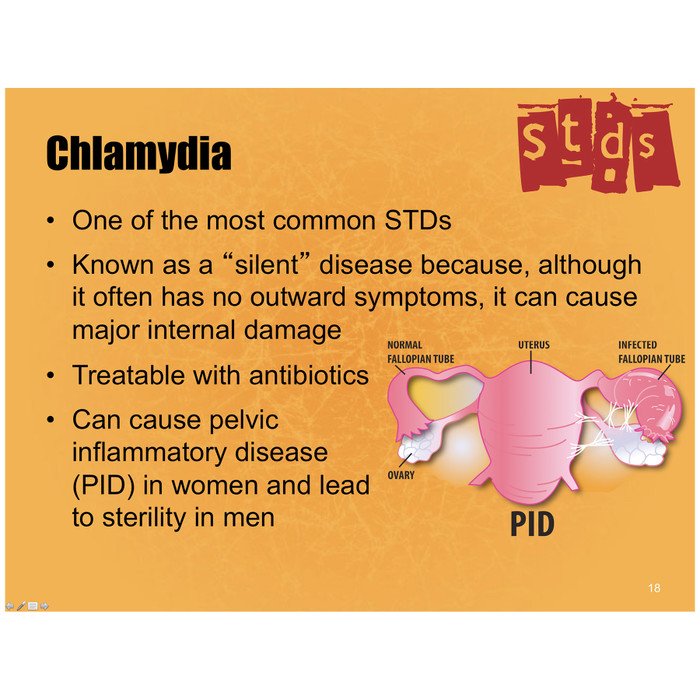 Sexually Transmitted Diseases STDs PowerPoint