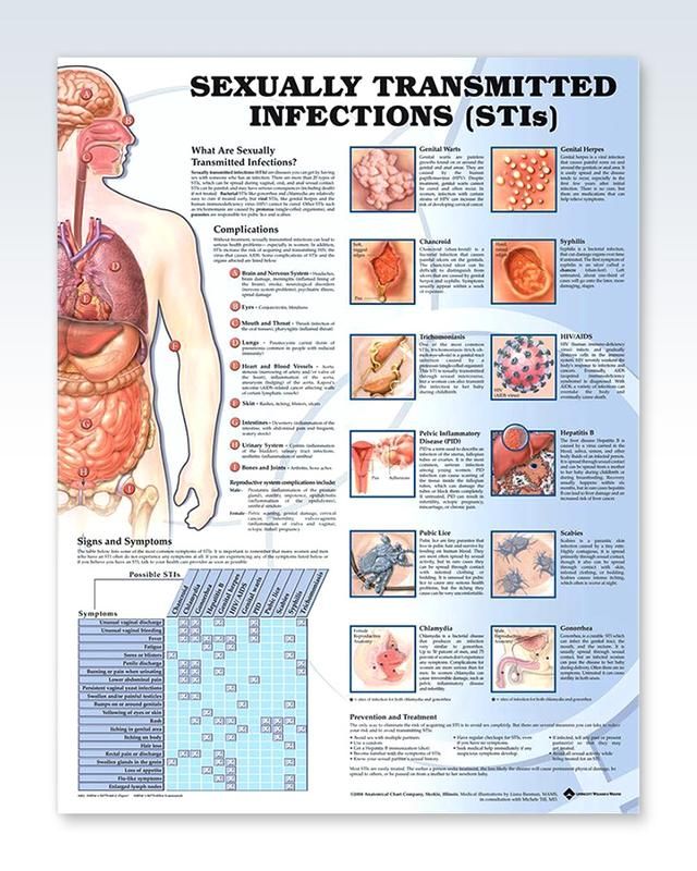Sexually Transmitted Infections Exam Room Anatomy Poster ...