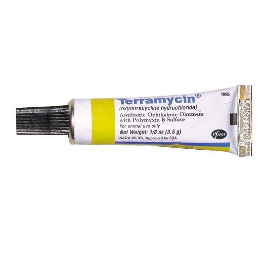 Terramycin Ophthalmic Ointment. Every cat fosterer needs to have ...
