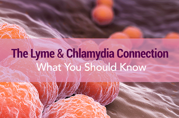 The Lyme + Chlamydia Connection: What You Should Know ...