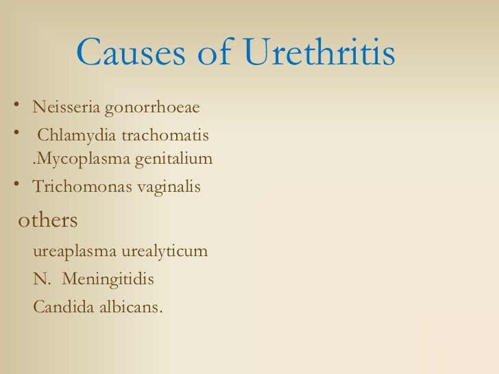 Urethritis seminar
