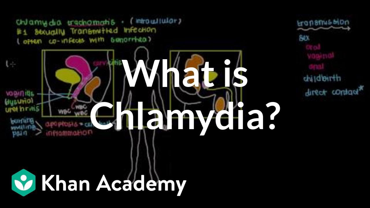 What is chlamydia?